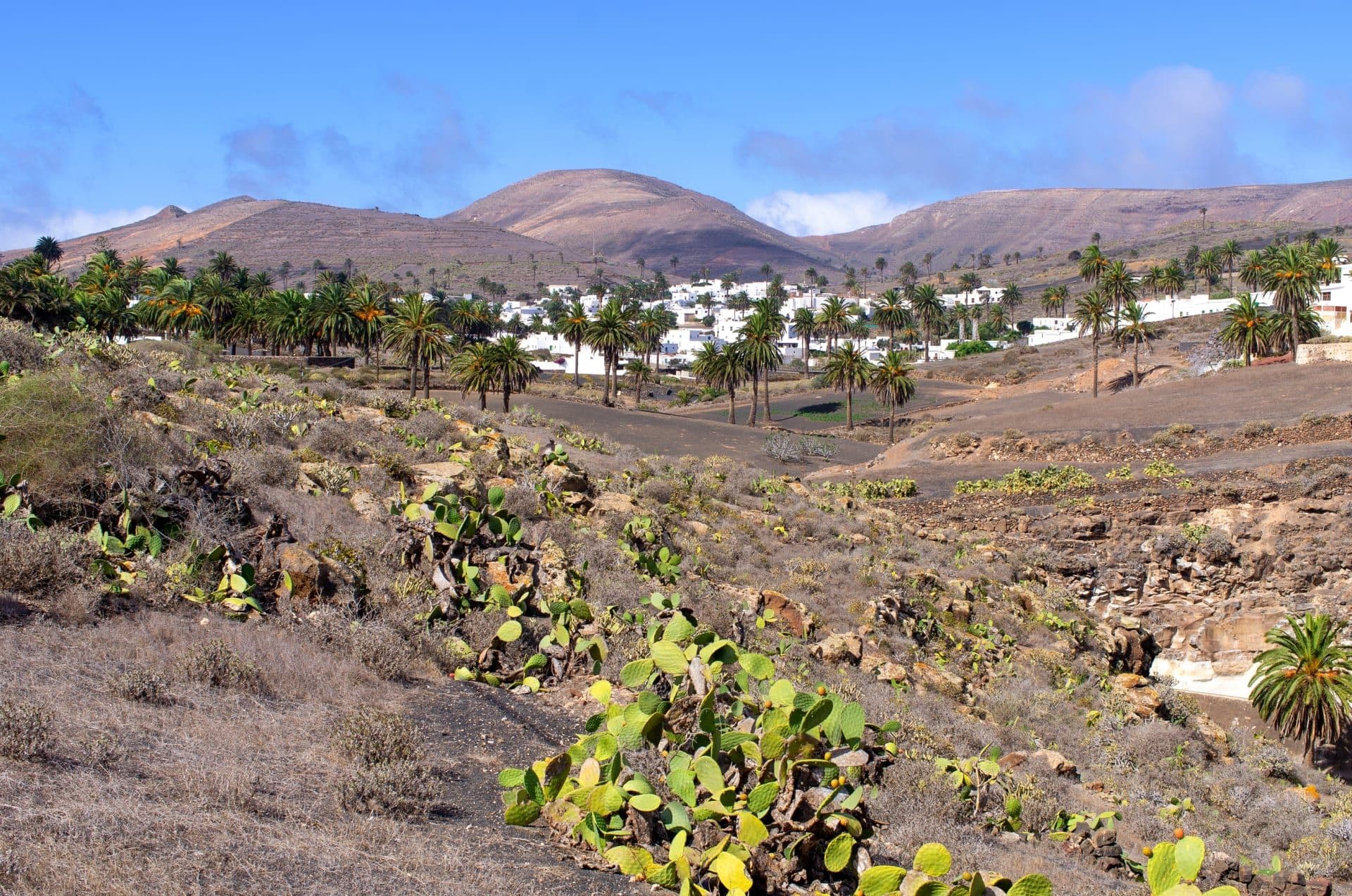 Haria auf Lanzarote