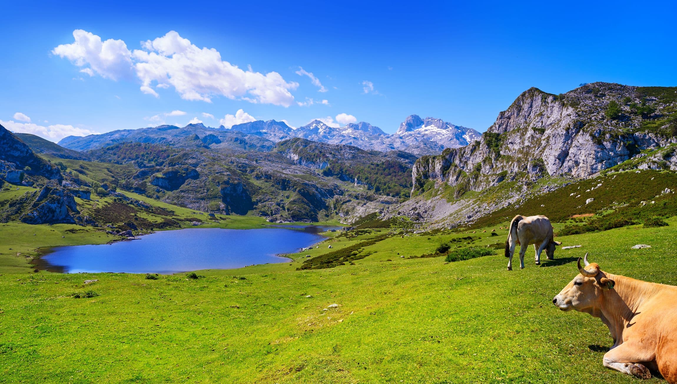  Picos de Europa - ältester Nationalpark Spaniens, bekannt für seine atemberaubenden Landschaften
