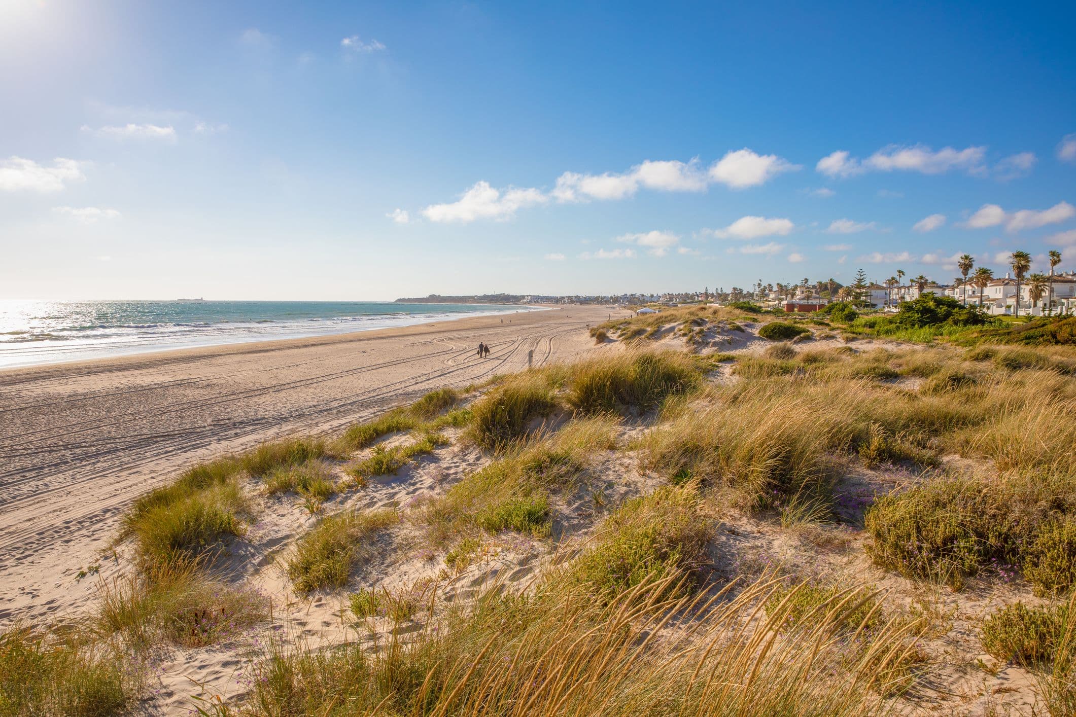  La Barrosa  - befindet sich etwa 7 Kilometer südwestlich vom Zentrum von Chiclana de la Frontera und ist Teil der Gemeinde Chiclana de la Frontera in der Provinz Cádiz