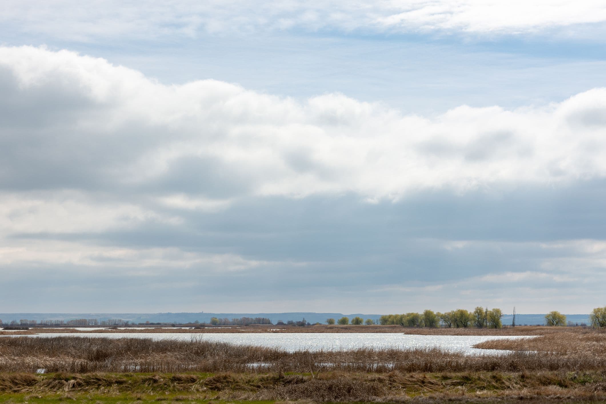 Laguna de la Nava – wichtiger Rastplatz für Zugvögel und ein Überwinterungsgebiet für Wasservögel, darunter Gänse, Enten und Watvögel