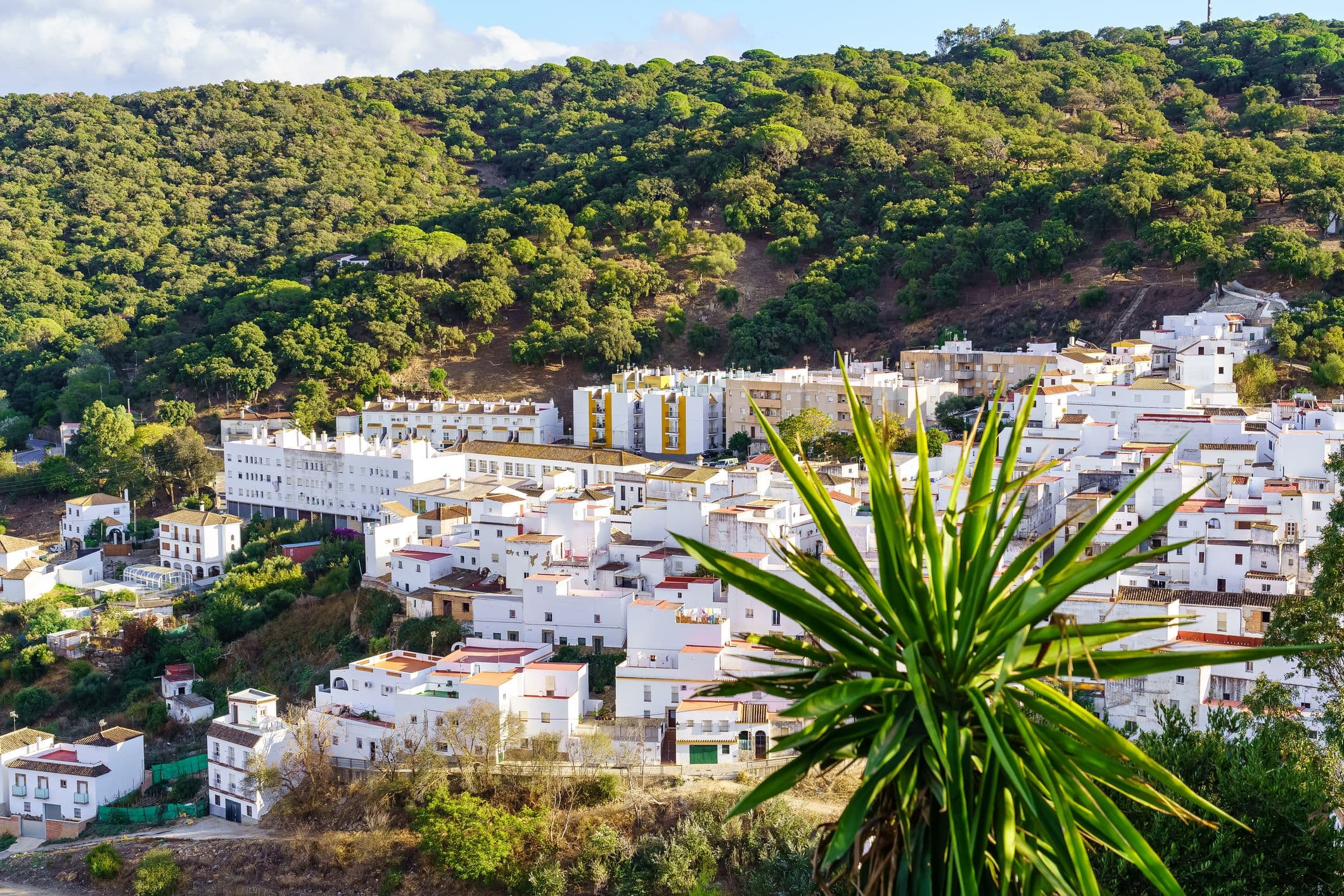 Alcala de los Gazules - hat eine reiche Geschichte, die bis zur iberischen Stadt Lascuta zurückreicht, und beherbergt Überreste römischer, westgotischer und maurischer Einflüsse