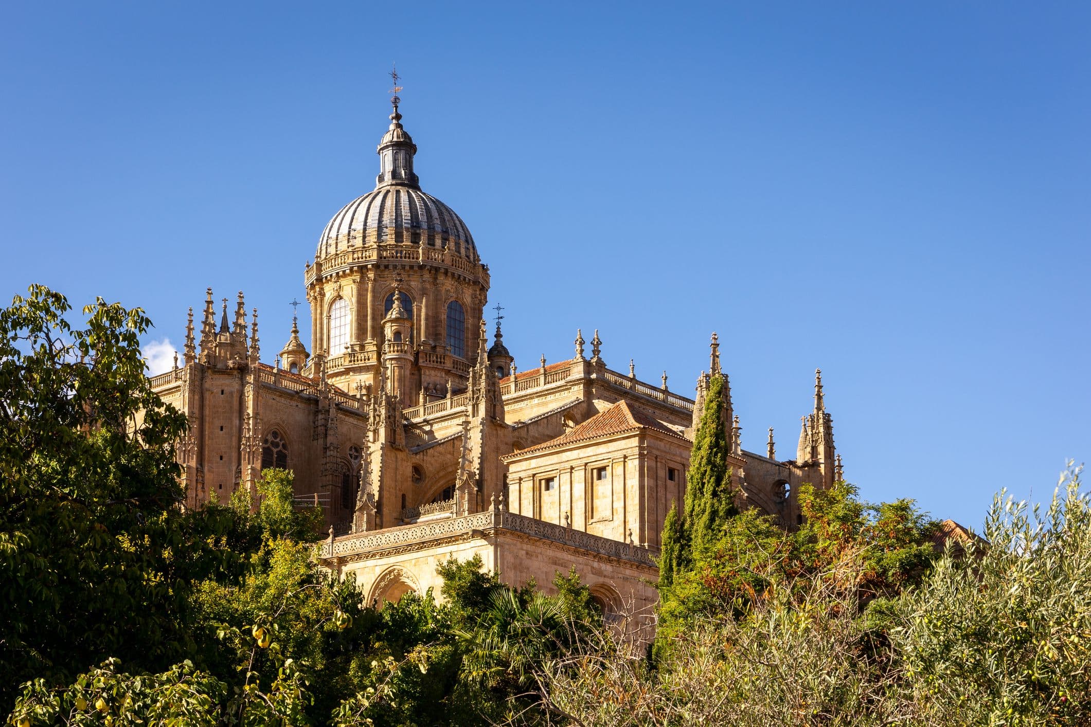 Kathedrale Nueva & Kathedrale Vieja - besteht aus zwei Teilen: der Alten (Catedral Vieja) und der Neuen Kathedrale (Catedral Nueva)