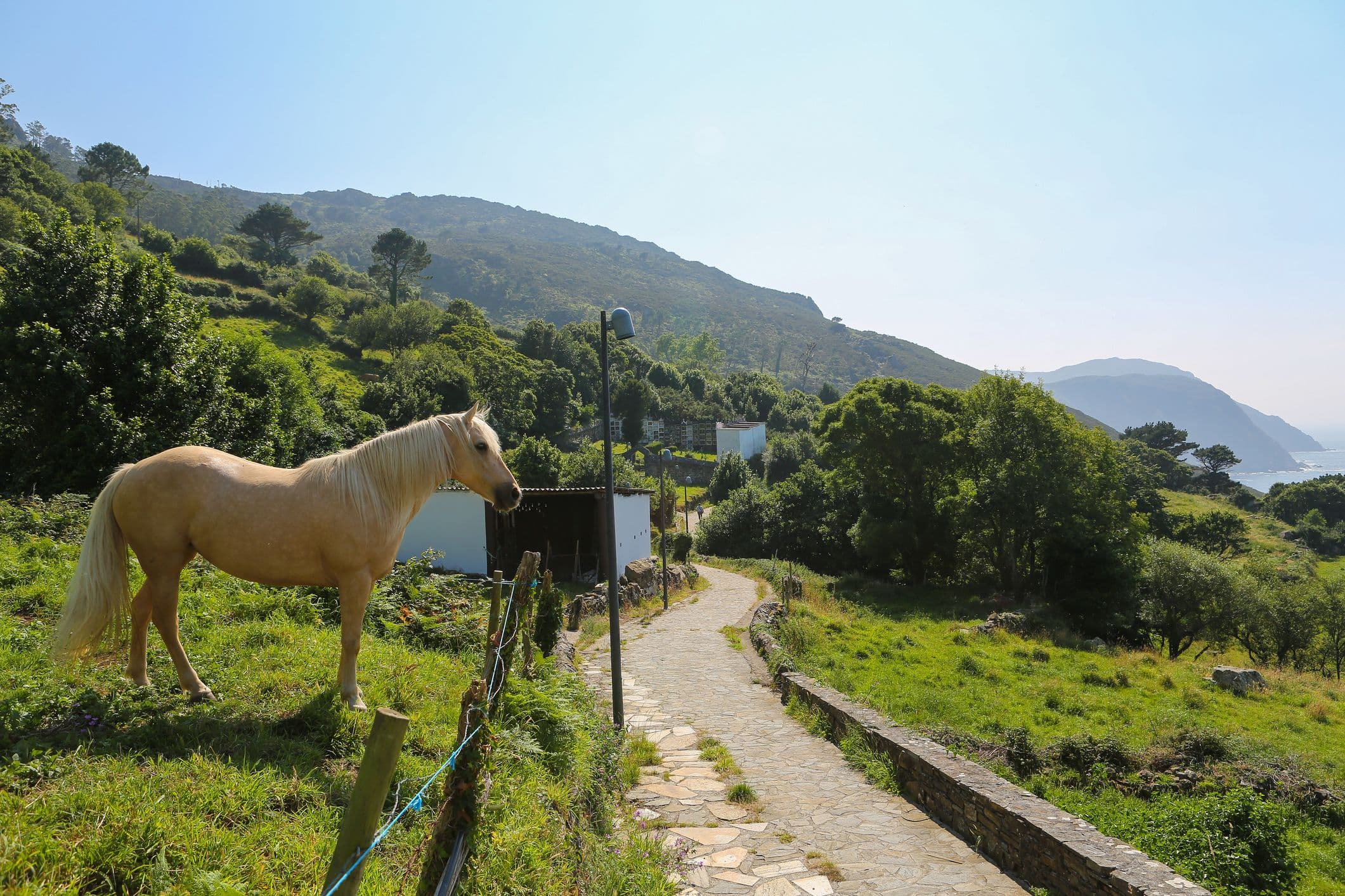 San Andres de Teixido - Pferd vor der schönen Küstenlandschaft
