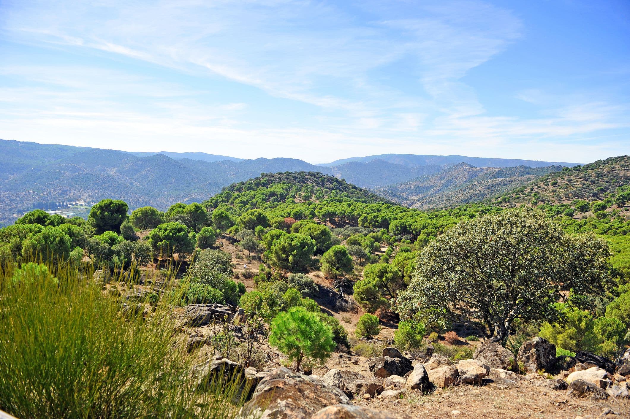 Andújar - liegt am Fuße der Sierra Morena und ist bekannt für ihren Naturpark, die Sierra de Andújar, die ein wichtiges mediterranes Ökosystem mit Eichenwäldern und einer vielfältigen Tierwelt