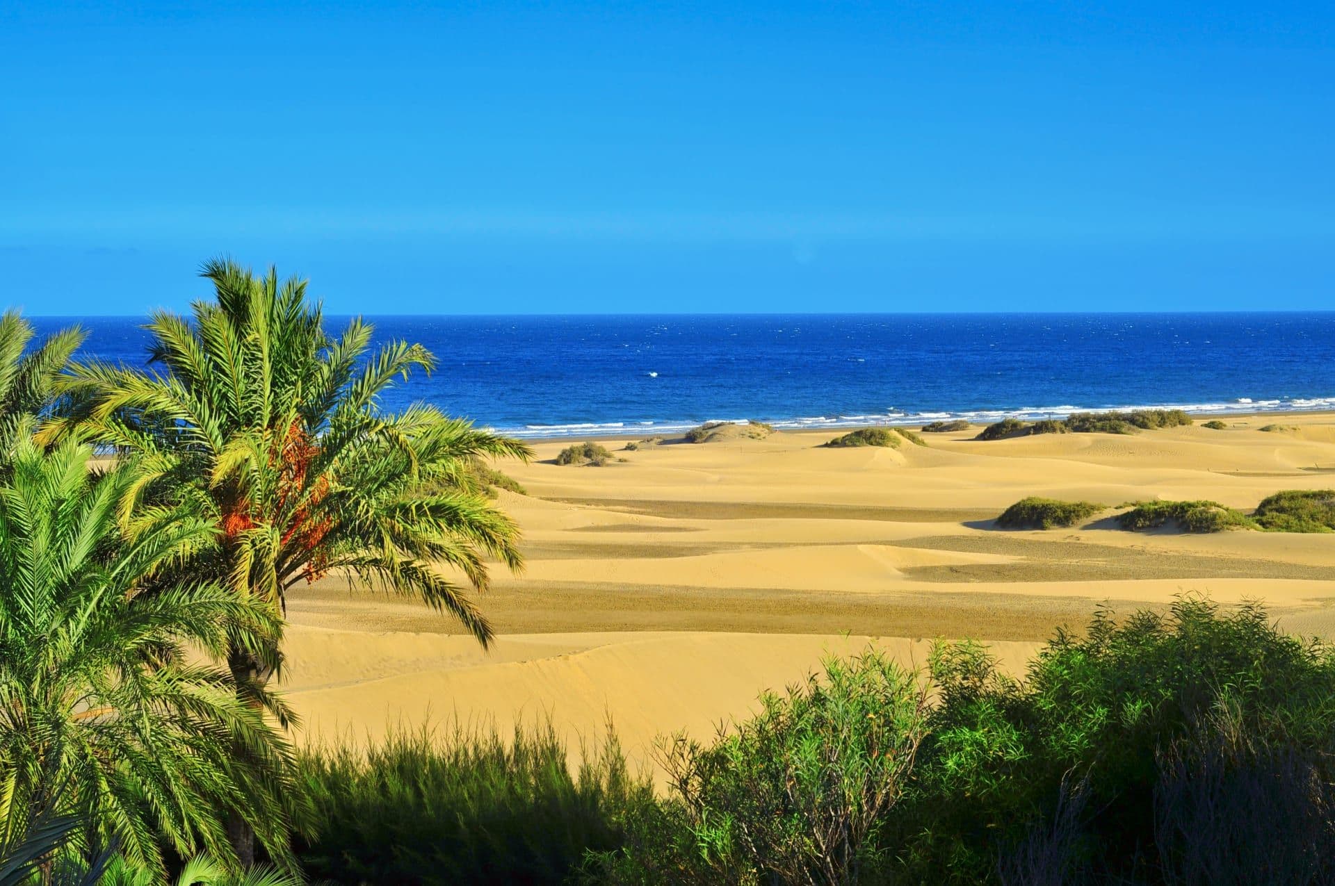 Die Dünen von Maspalomas auf Gran Canaria