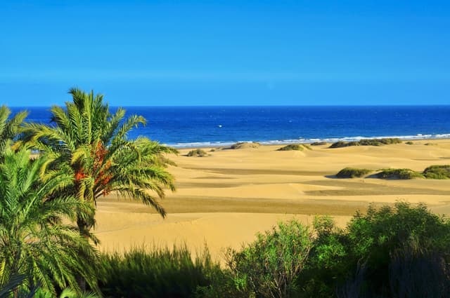 Gran Canaria