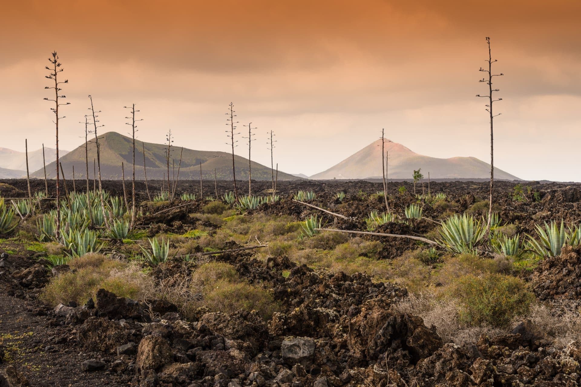 Timanfaya Nationalpark auf Lanzarote