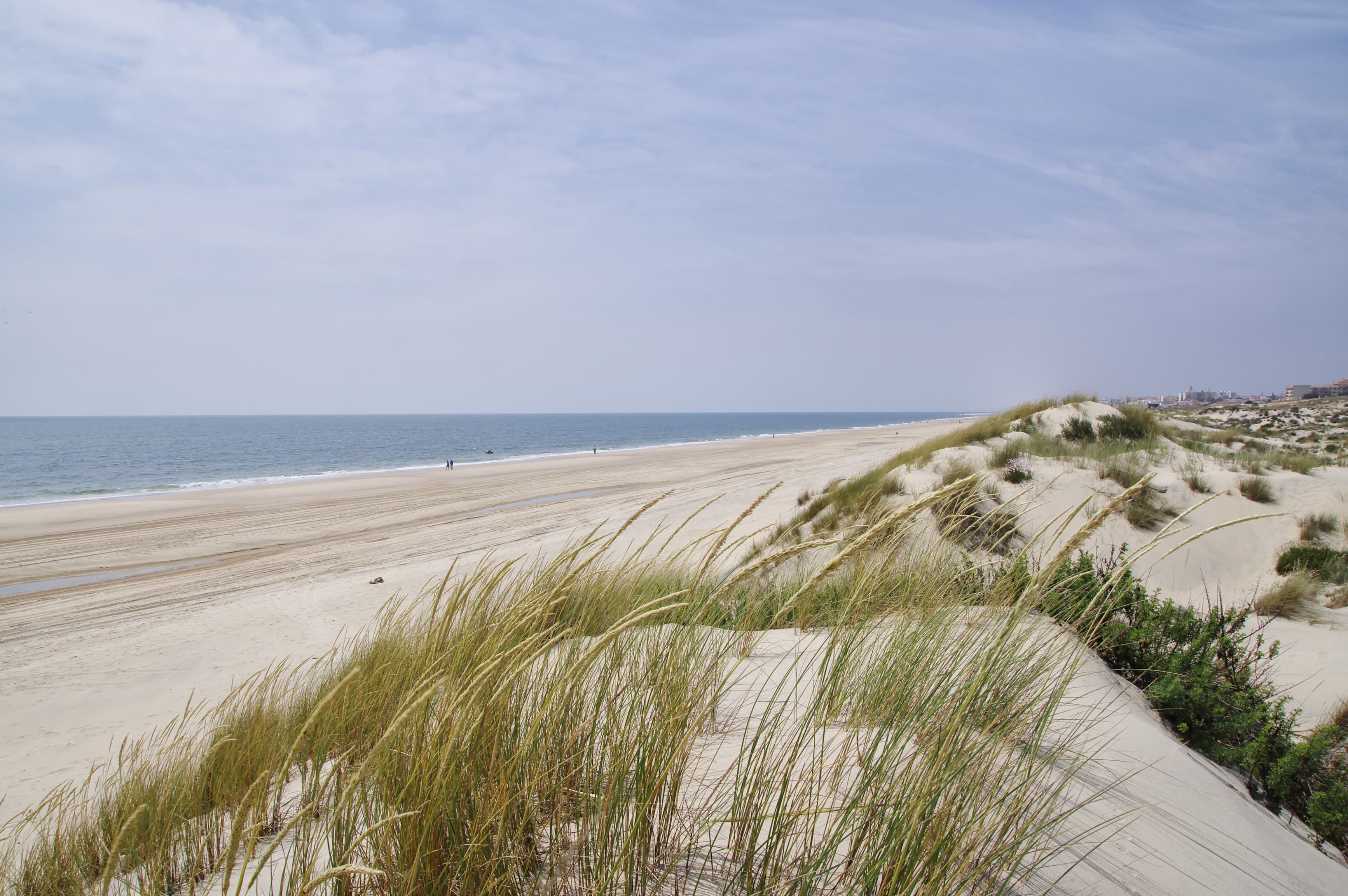 Coto de Donana - Nationalpark an der Costa de la Luz