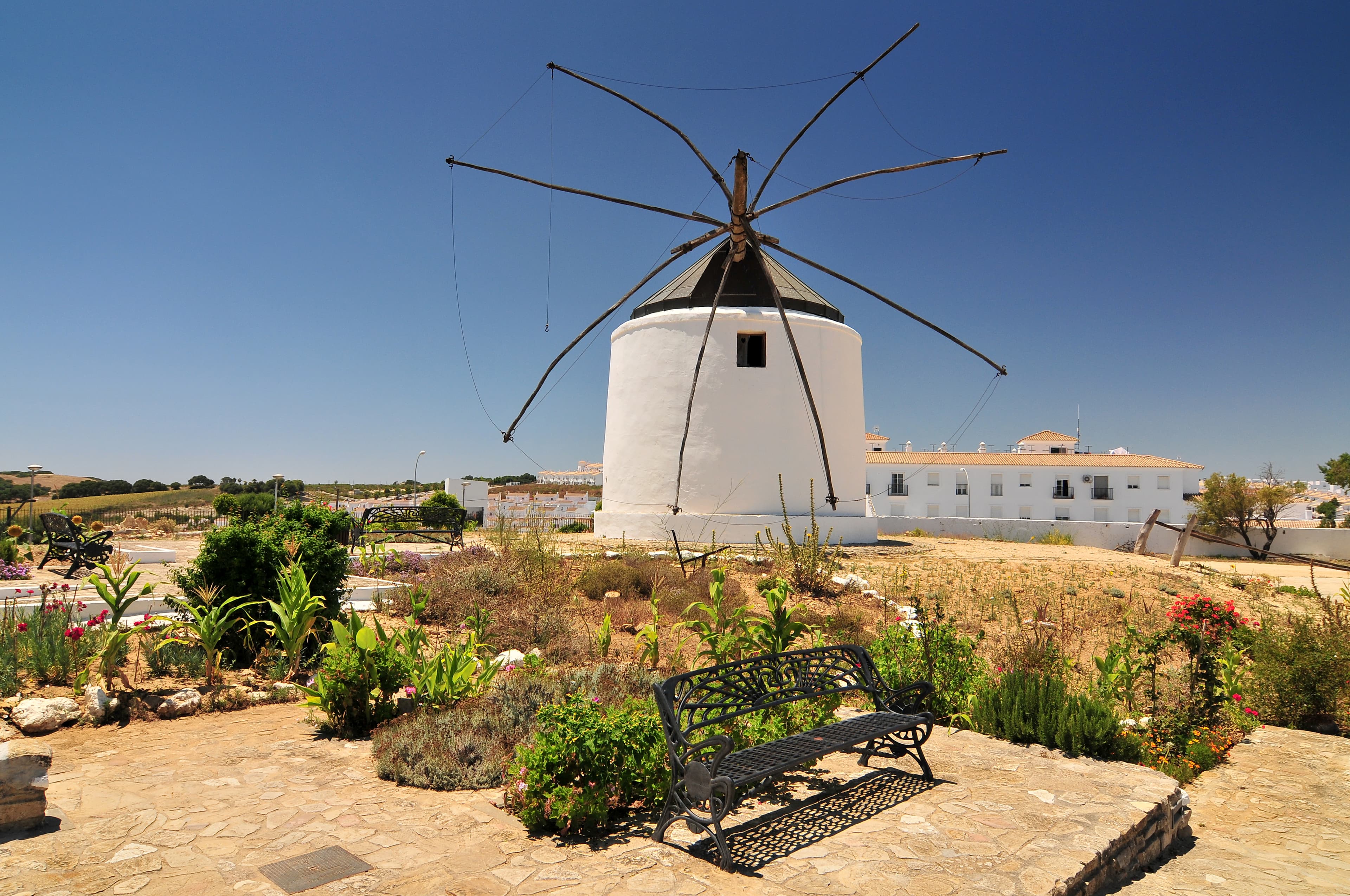 Die Windmühle in Vejer de la Frontera, weisses Dorf in Andalusien.