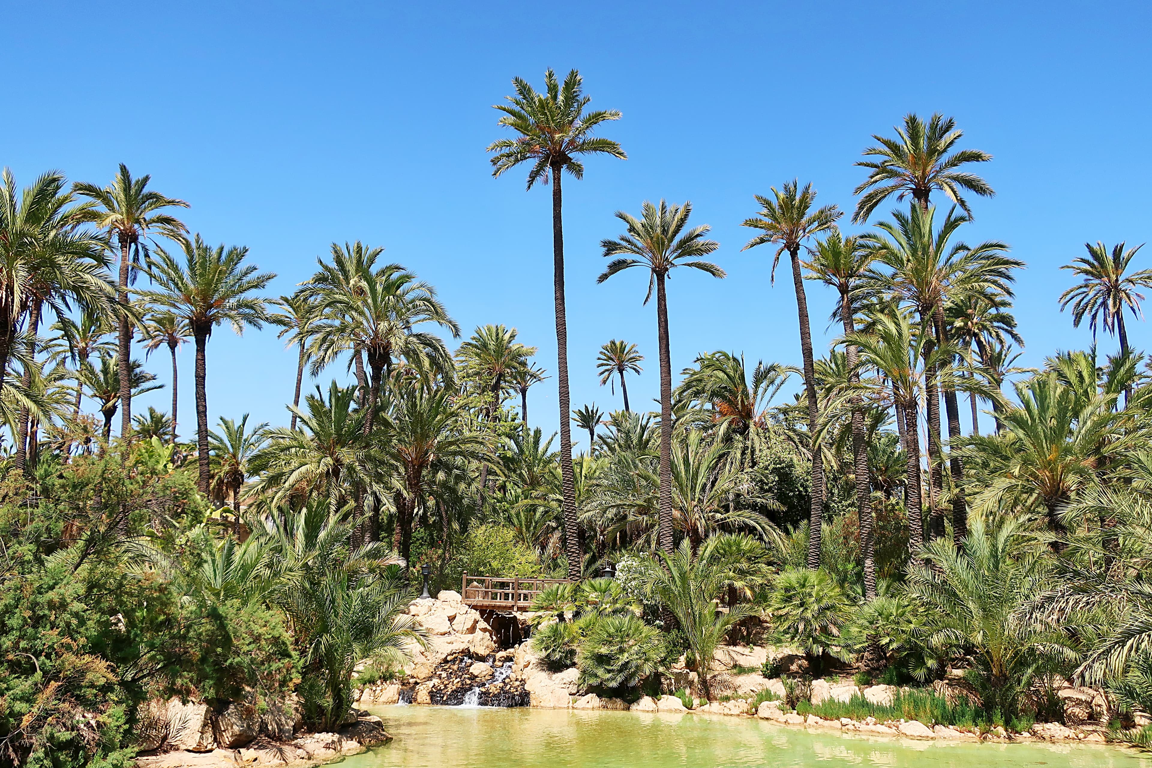 Der El Palmeral Park in Alicante.