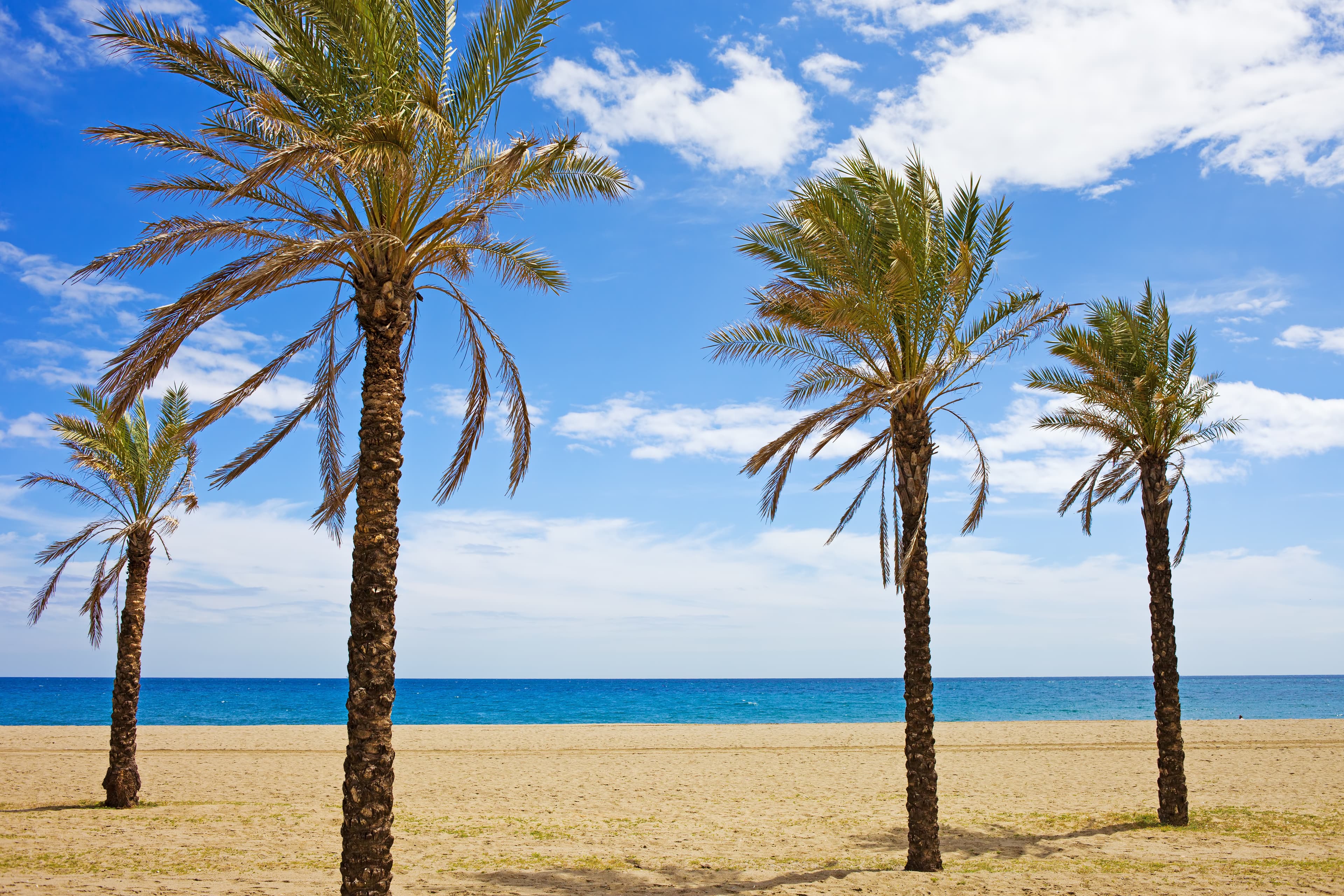 Blick auf einen Strand an der Costa del Sol.