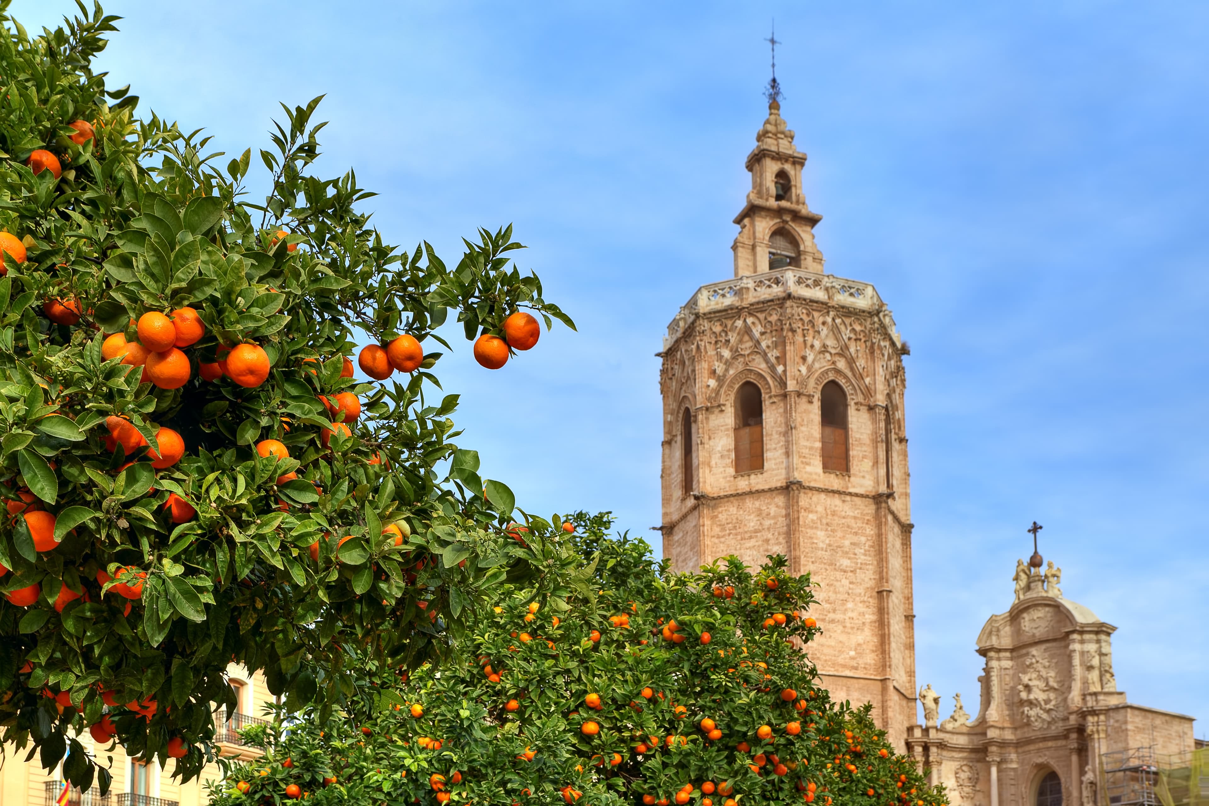 Kathedrale von Valencia - Blick auf die Kathedrale von Valencia.