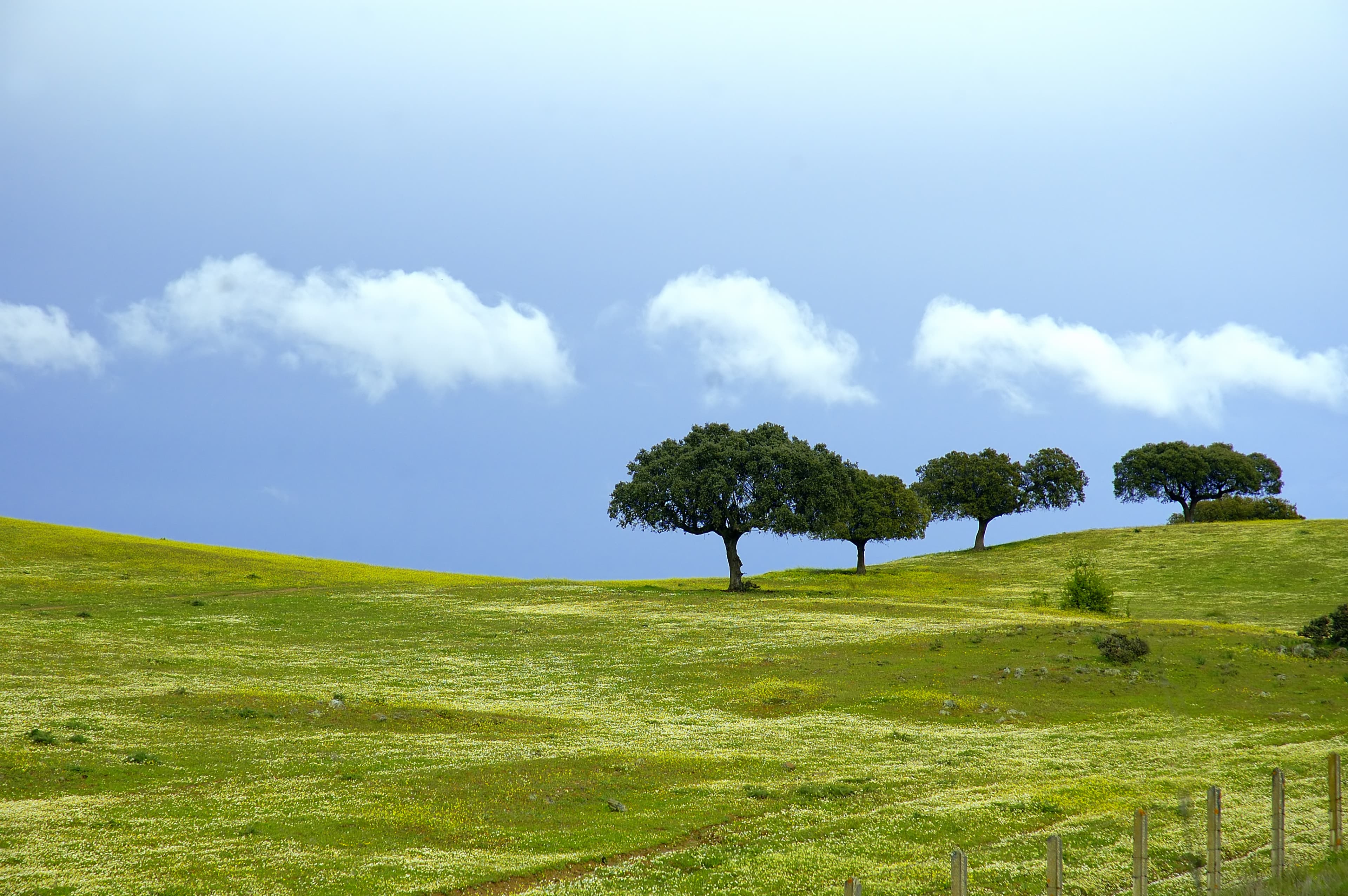 Eine Landschaft in der Region Extremadura in Spanien.